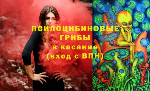 ECSTASY Армянск